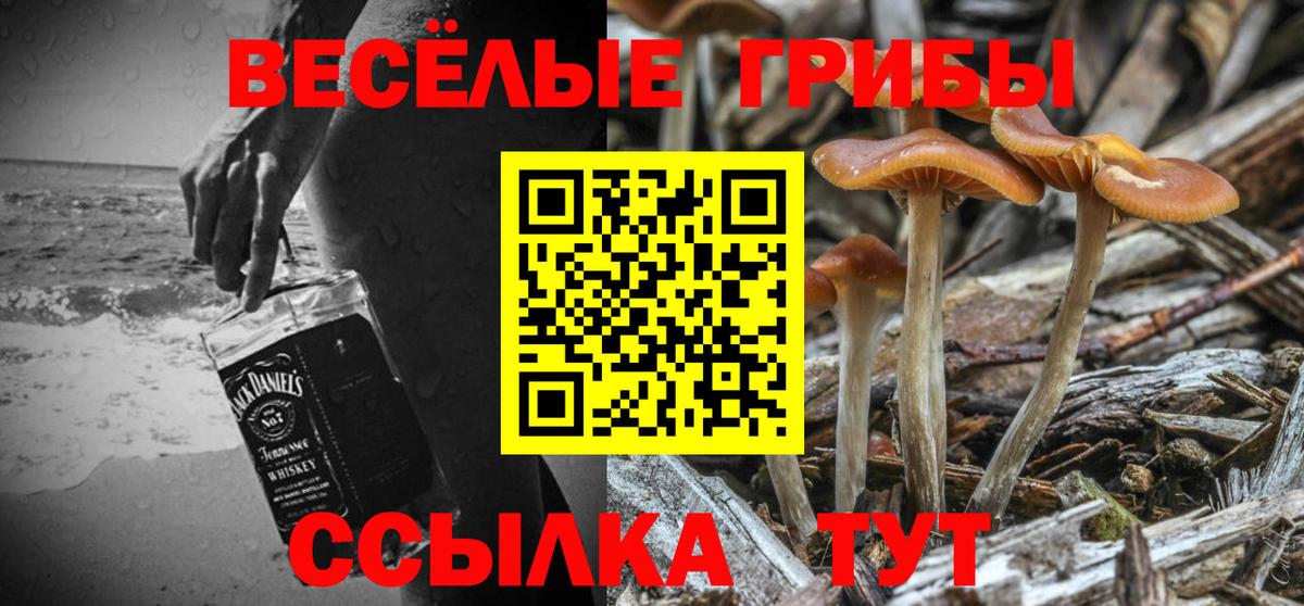 Будённовск  как найти закладки  Вход с VPN  Псилоцибиновые грибы мухоморы 